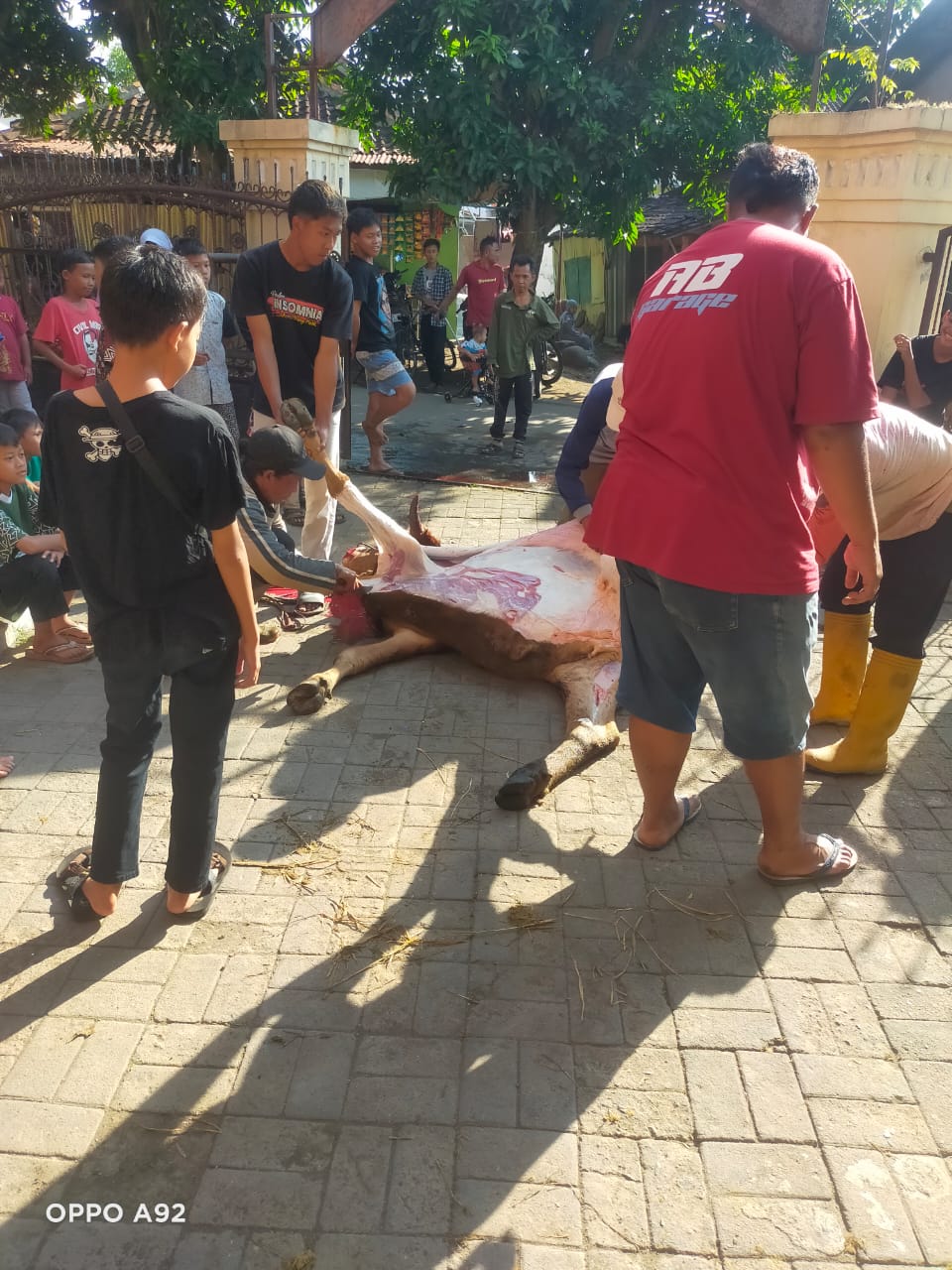 KEGIATAN HARI RAYA IDUL QURBAN